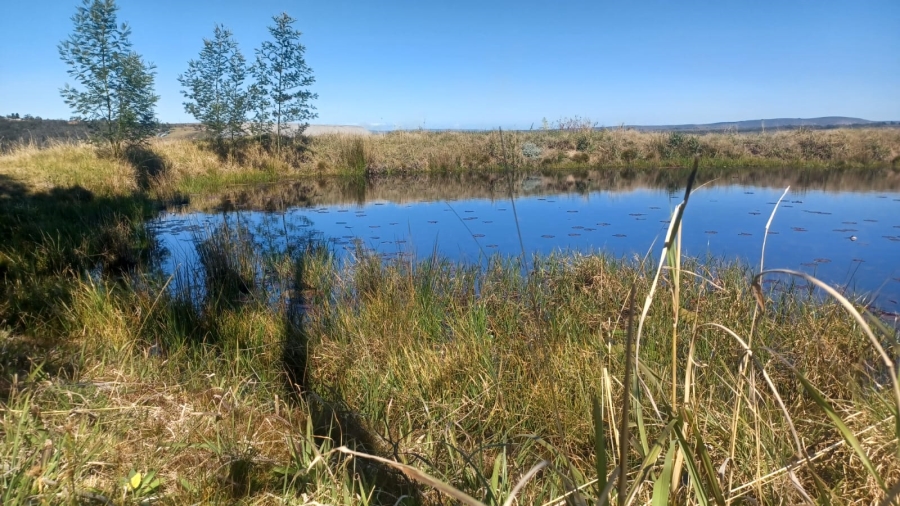0 Bedroom Property for Sale in Ruiterbos Western Cape